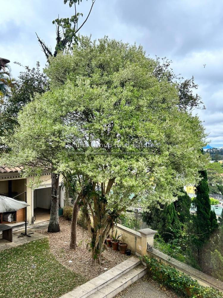 Casa à venda na Rua Hermógenes Almeida PradoJardim Guedala - casa-jardim-guedala-sao-paulo-111404-0.jpeg